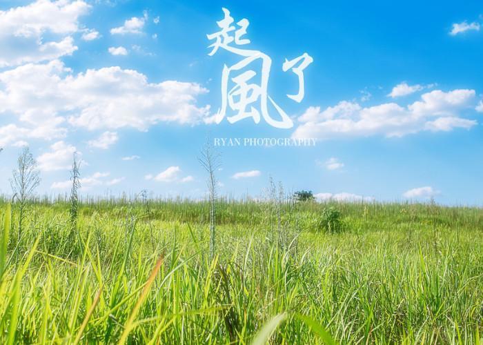 宫崎骏为什么改编《起风了》？原著太唯美，让人感动