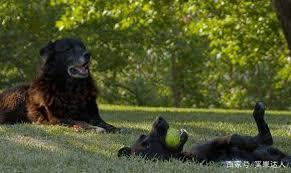 话题国片《破处》登场、《蓝色恐惧》领衔五部影史经典大银幕重映