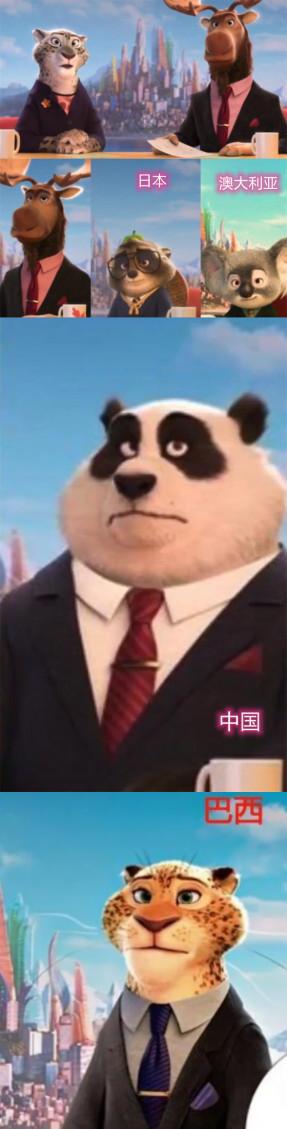 同一部动画电影，在不同的国家，都是不一样的