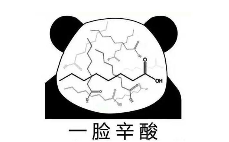 质量上乘奈何人气低迷，霸权社叫好不叫座的七月新番《冰海战记》