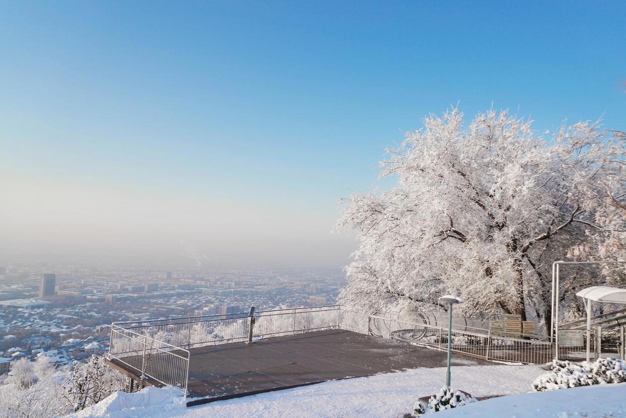 人这辈子，其实，也就这样