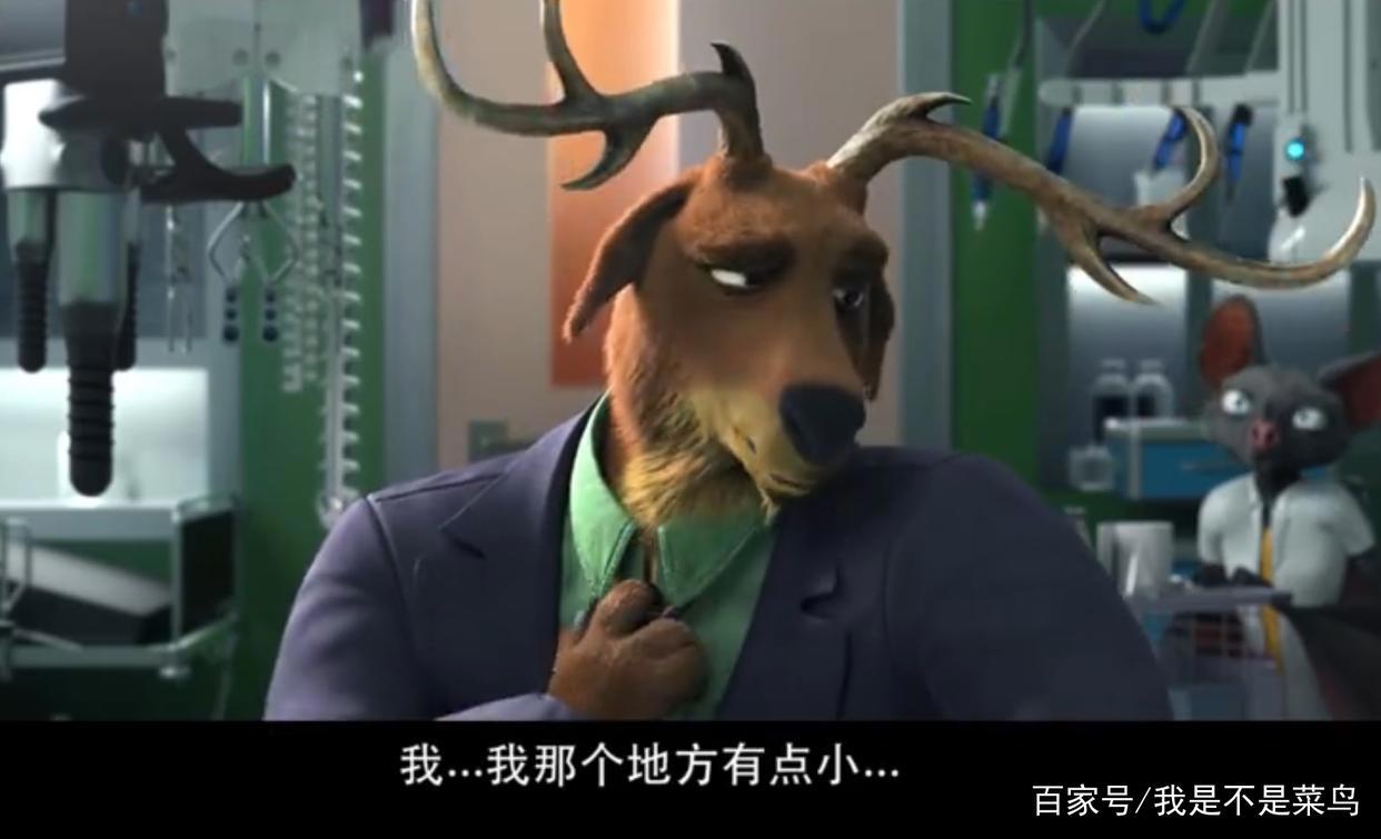《动物特工局》是国产动画电影？堪比好莱坞巨制级别，特效震撼！