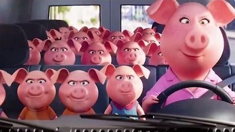 “欢乐好声音”里猪妈妈拥有20多个孩子，却让我十分羡慕她的自立