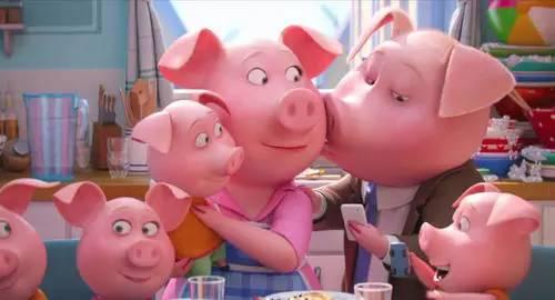 “欢乐好声音”里猪妈妈拥有20多个孩子，却让我十分羡慕她的自立