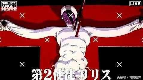 EVA世界观简介：生命的起源、进化和存在形态