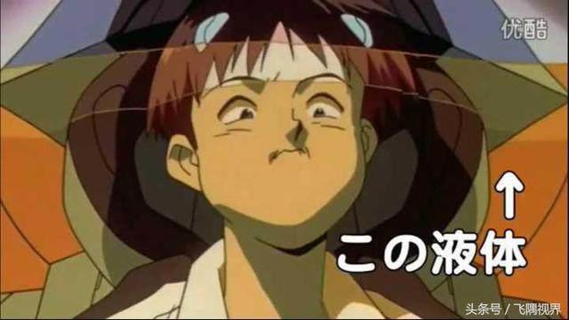 EVA世界观简介：生命的起源、进化和存在形态