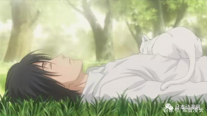 豆瓣9.4分纯爱神作，见证思春期症候群与成长之轨