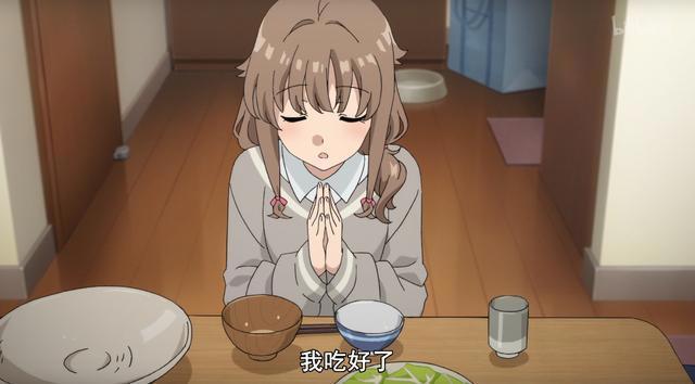 上线就9.9分？剧场版《青春猪头少年》穿越看不懂？试试这篇文章