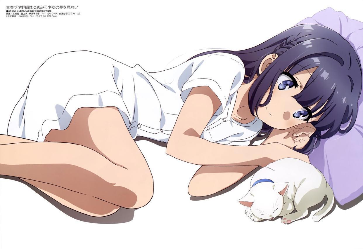 《青春期猪头少年不做怀梦少女的梦》“是我，咲太哥哥”催人泪下