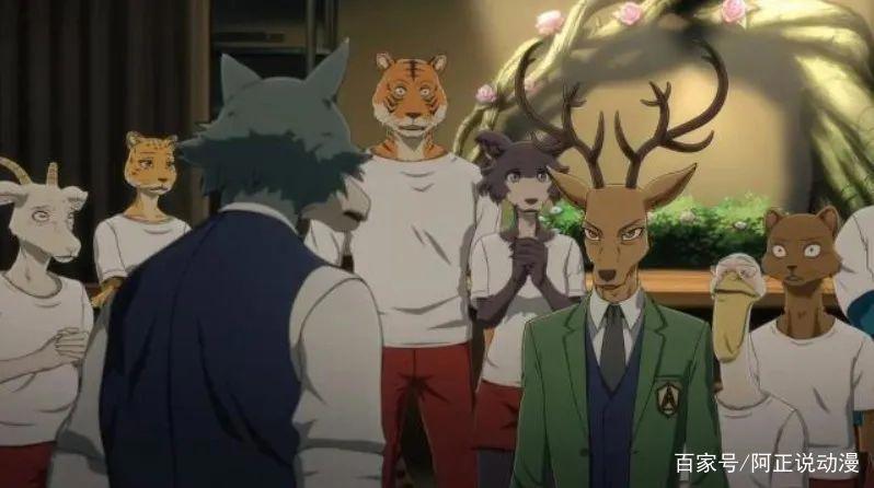 这个“最强一月”，你追了哪些番呢？