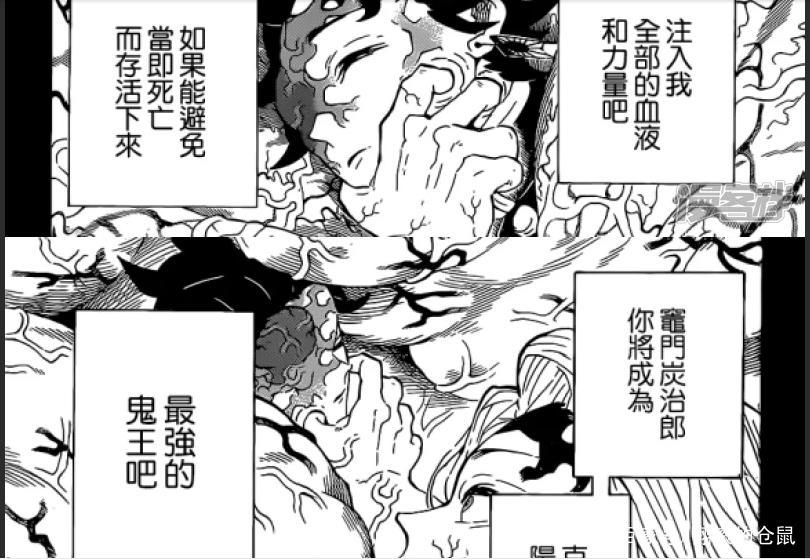 鬼灭之刃：兄妹的羁绊-祢豆子是否能成为新鬼王炭治郎的救赎