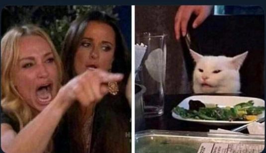 《利兹与青鸟》同人小剧场我家的猫还有后续，女人与猫完美衔接