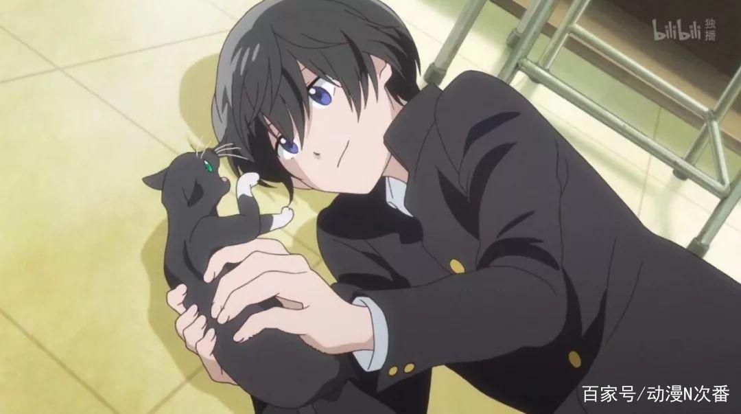 这不单是一部运动新番，更是一部直面现实，充满意义的青春之歌