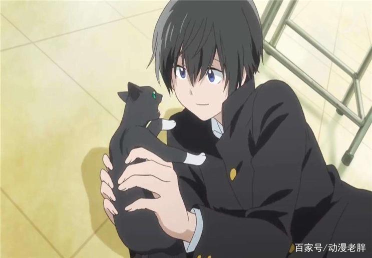 看惯了超能运动番？男主因为赚钱而打球，网友称之为腹黑