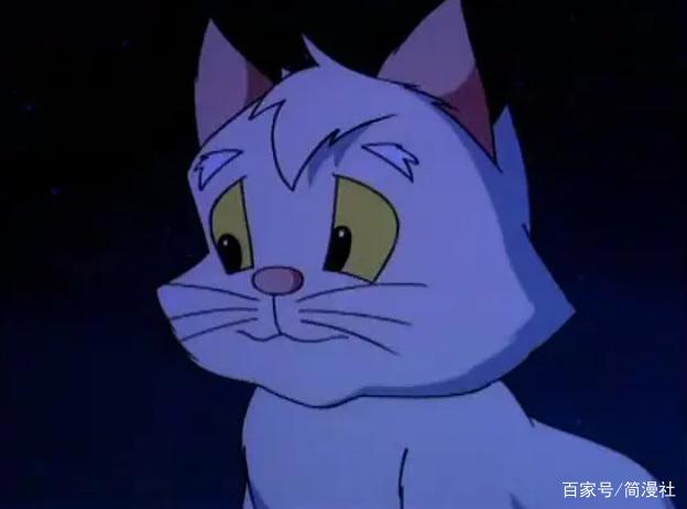 小贝流浪记，国内“最具教育意义的动画”，成就了一只会飞的猫
