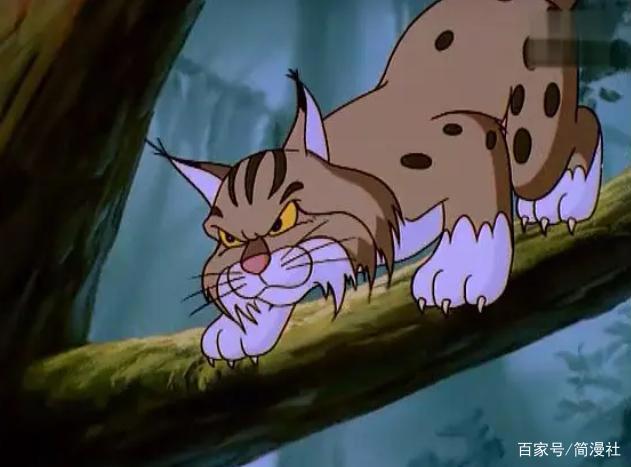小贝流浪记，国内“最具教育意义的动画”，成就了一只会飞的猫