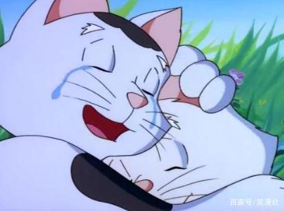 小贝流浪记，国内“最具教育意义的动画”，成就了一只会飞的猫