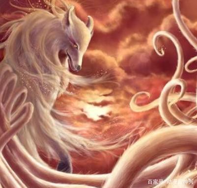 不同动漫中的狐狸形象，有何深意？