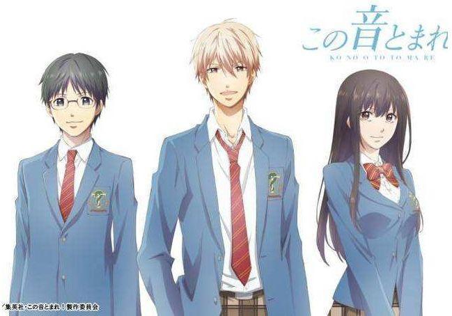 清新又感动，动漫《一弦定音》，让人心动的音乐旋律