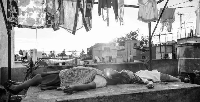 《惊奇队长》、《绿皮书》……这是组团来抢钱了？！