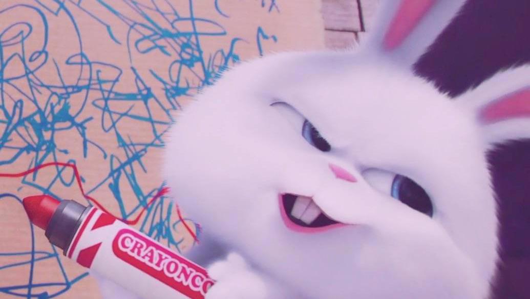 爱宠大机密：好一只傲娇的‘坏’兔子，真是让人欲罢不能