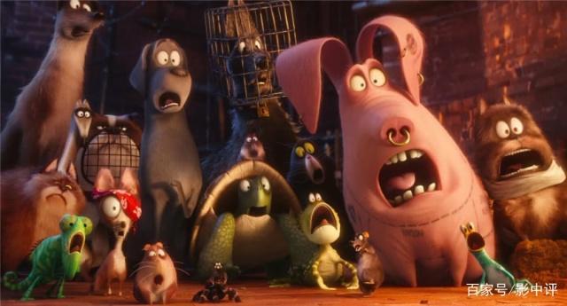 《爱宠大机密2》最新预告，喵星人成主角，唯独不见兔老大