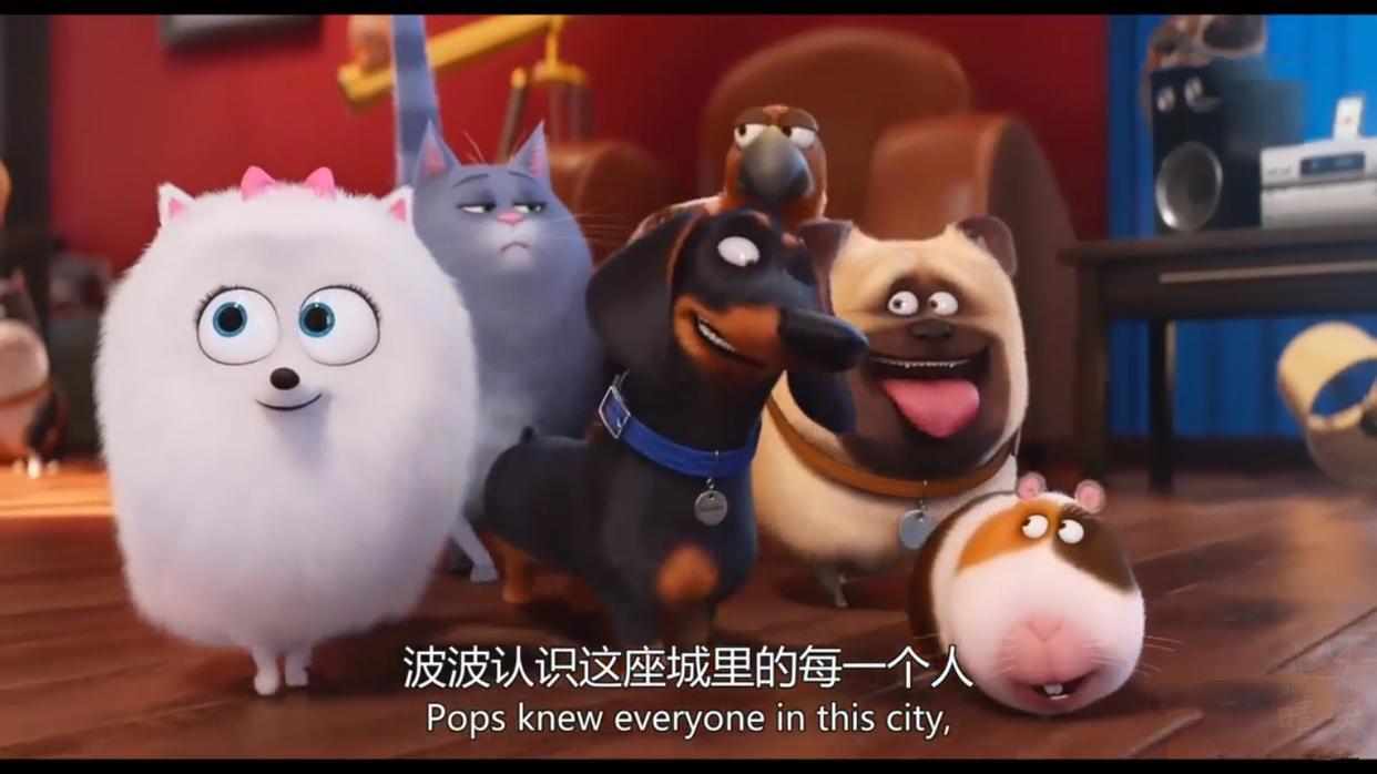 《爱宠大机密》：萌物大集合