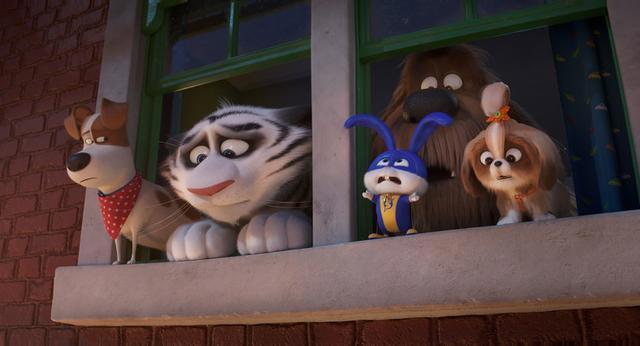 《爱宠大机密2》高能冒险奇趣无穷，宠物大集结可战可萌点燃暑期