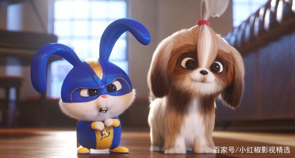 《爱宠大机密2》上映啦！你和萌宠们打过招呼了吗？