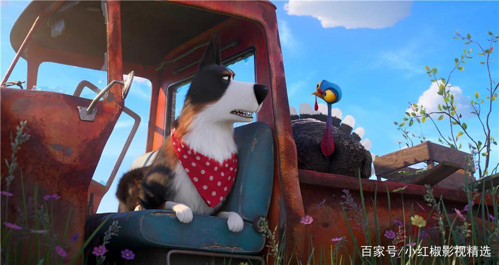 《爱宠大机密2》上映啦！你和萌宠们打过招呼了吗？