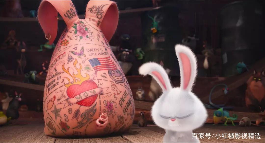 《爱宠大机密2》上映啦！你和萌宠们打过招呼了吗？