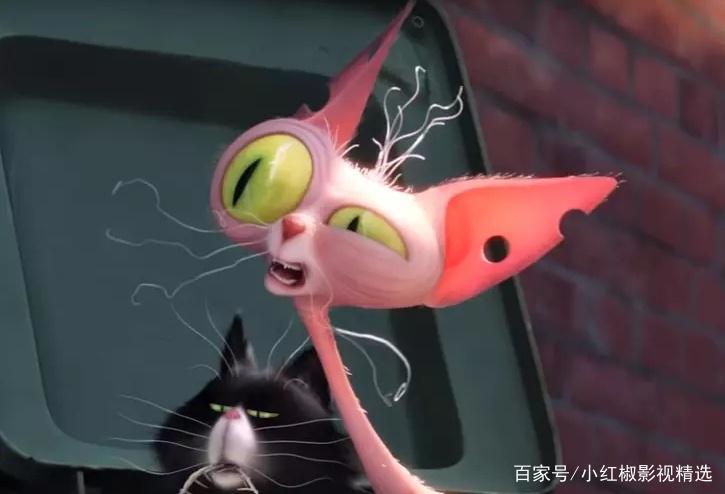 《爱宠大机密2》上映啦！你和萌宠们打过招呼了吗？