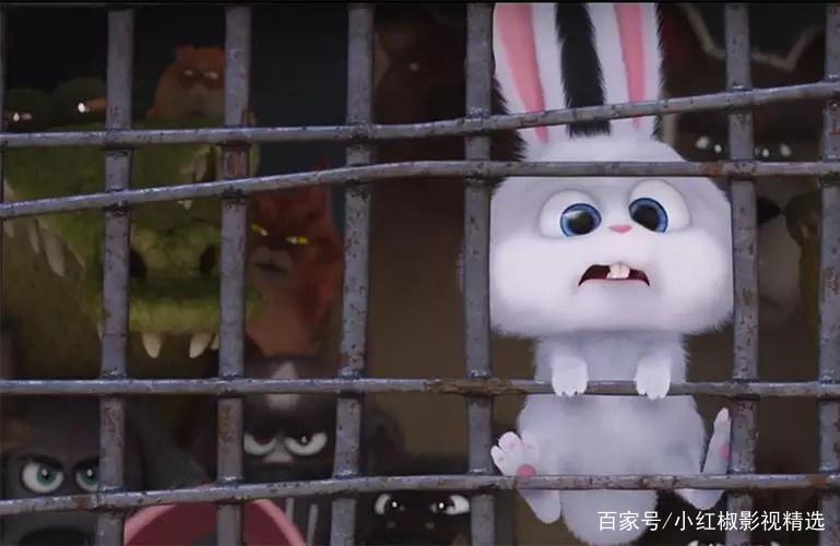 《爱宠大机密2》上映啦！你和萌宠们打过招呼了吗？