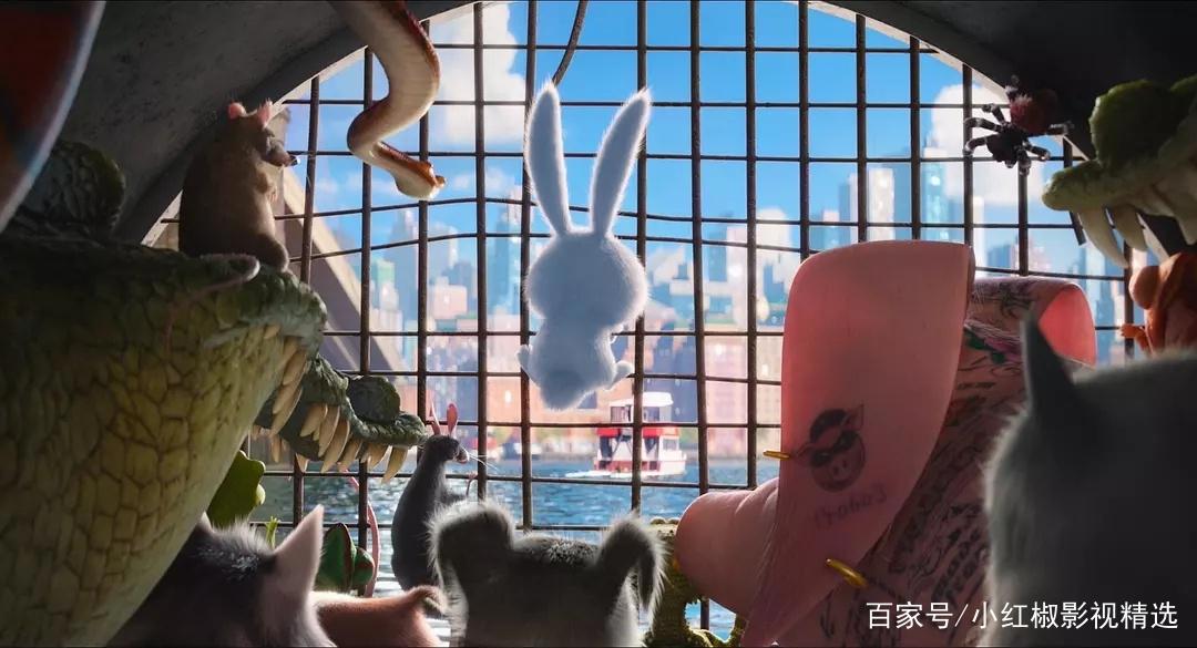 《爱宠大机密2》上映啦！你和萌宠们打过招呼了吗？