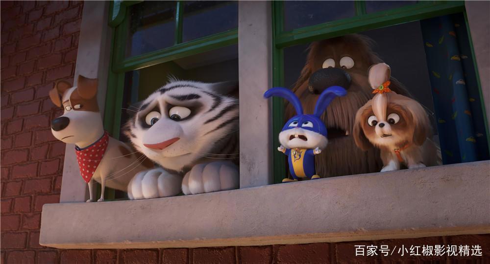 《爱宠大机密2》上映啦！你和萌宠们打过招呼了吗？