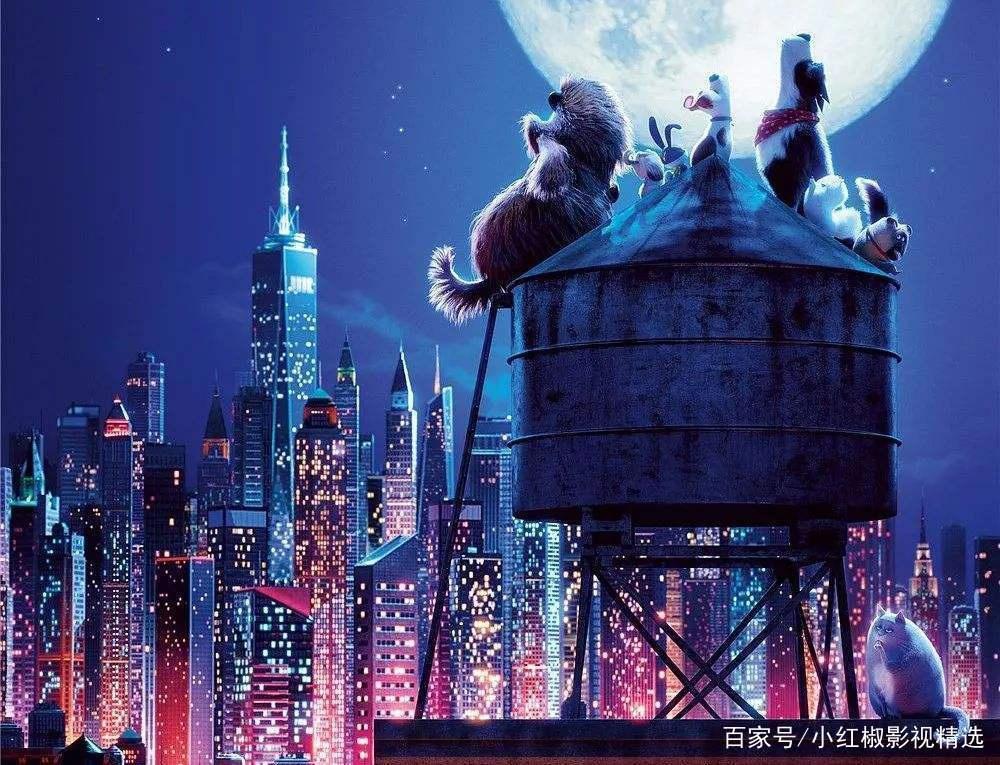 《爱宠大机密2》上映啦！你和萌宠们打过招呼了吗？