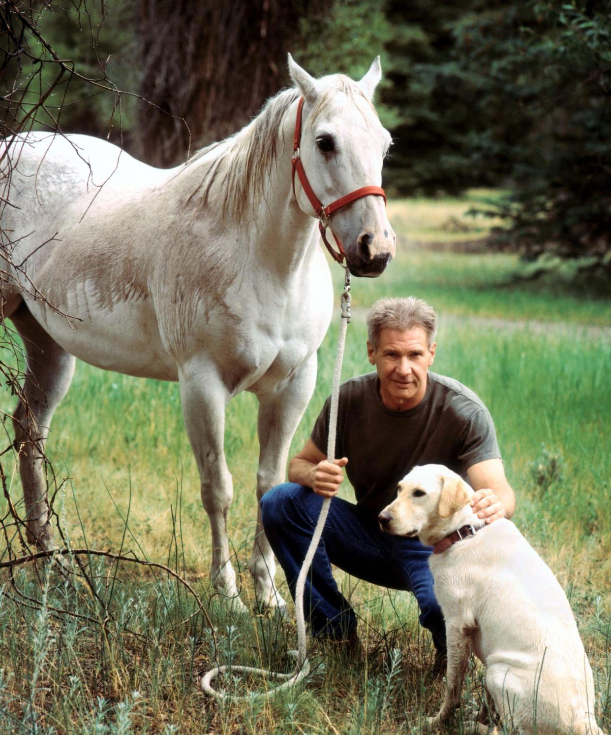 小兔拯救白虎，小狗照顾婴儿，揭秘《爱宠大机密2》人设