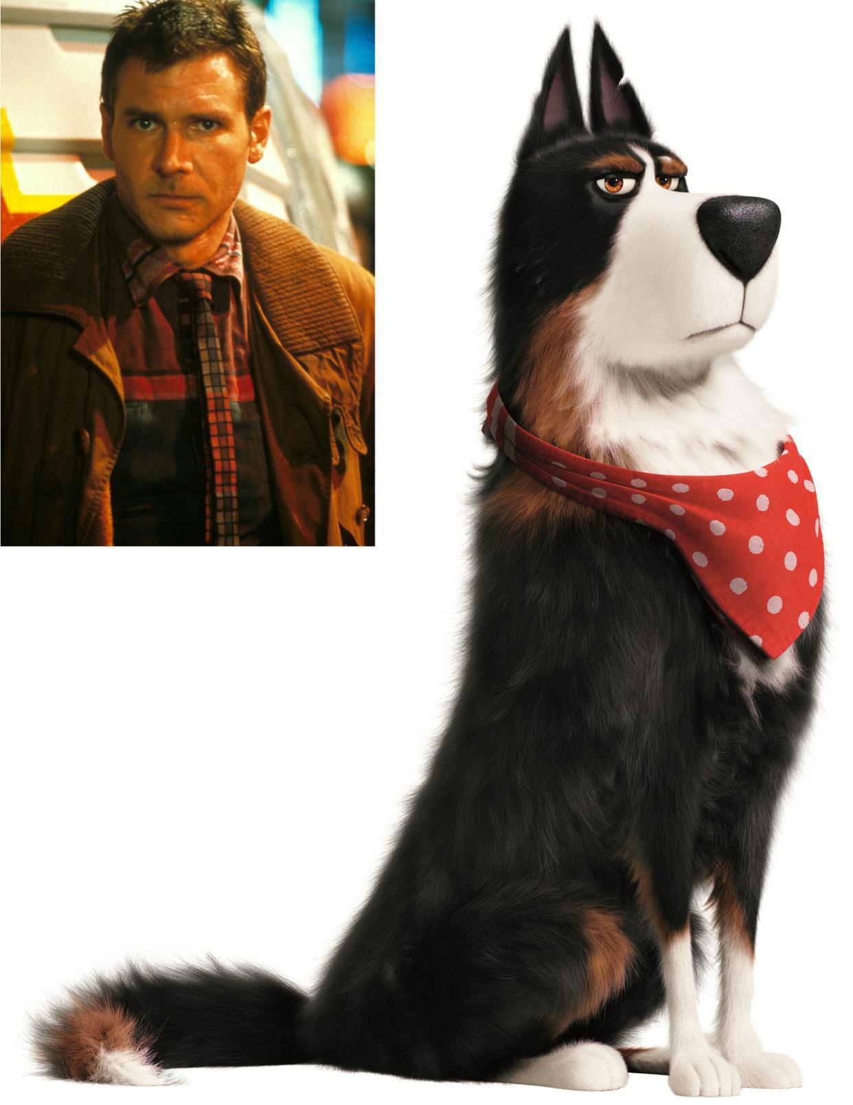 小兔拯救白虎，小狗照顾婴儿，揭秘《爱宠大机密2》人设