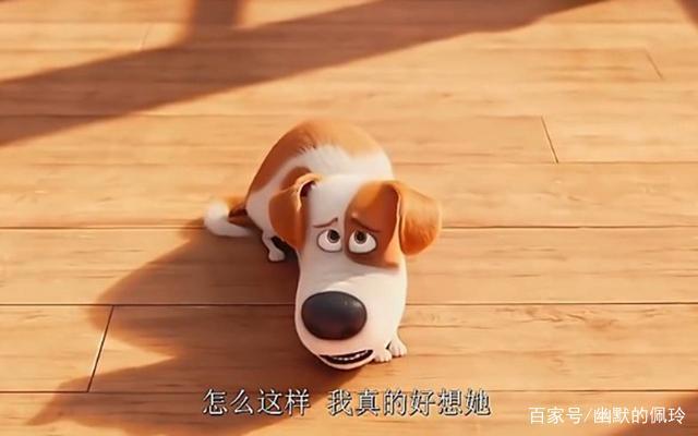 《爱宠大机密》：宠物的情感其实比人类更真实