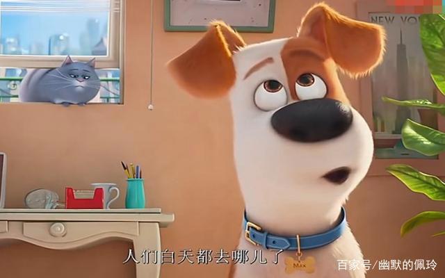 《爱宠大机密》：宠物的情感其实比人类更真实