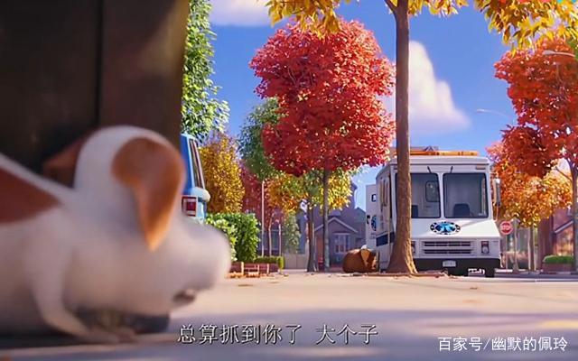 《爱宠大机密》：宠物的情感其实比人类更真实