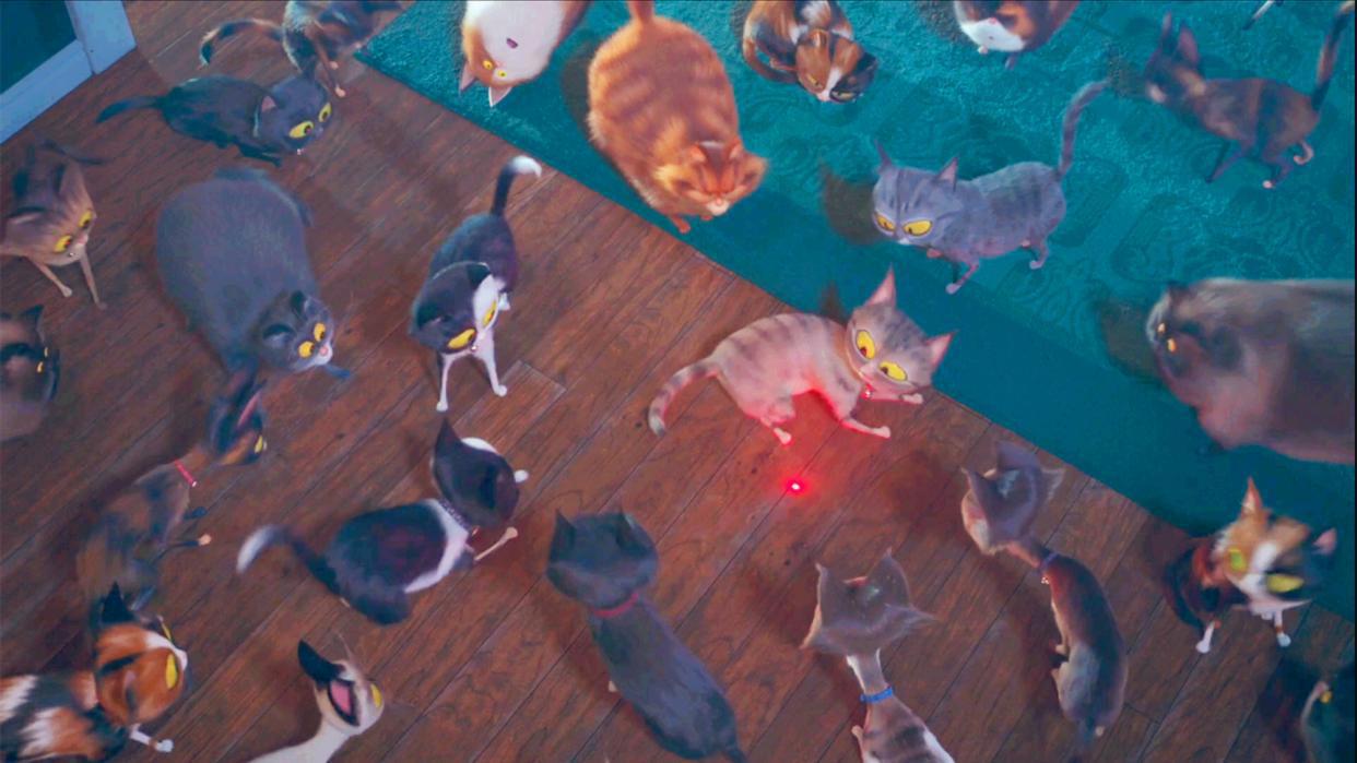 爱宠大机密2：如何当猫王，抓住“红点”，就可以成为猫中的霸主