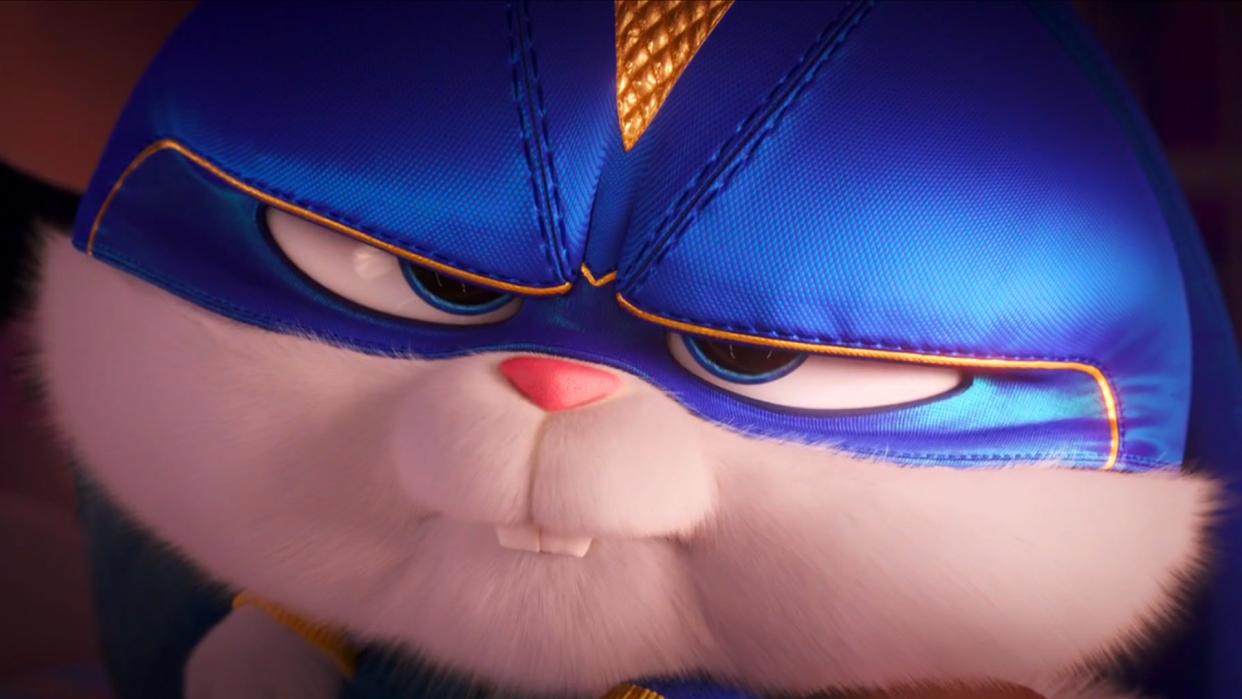 爱宠大机密：当兔子骑上蝙蝠车，变身蝙蝠侠，它就是这条街的靓仔