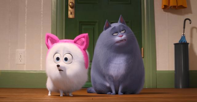 《爱宠大机密2》“萌宠”担当绝对主角，挺身救小主人