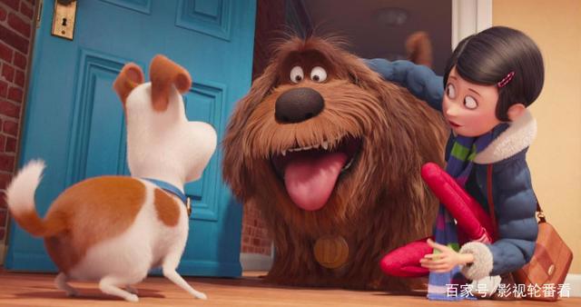 《爱宠大机密》：小白兔的反差萌，告诉大家什么是小动物大智慧