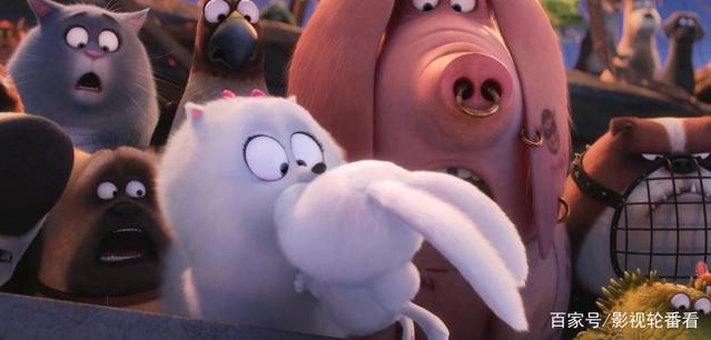 《爱宠大机密》：小白兔的反差萌，告诉大家什么是小动物大智慧