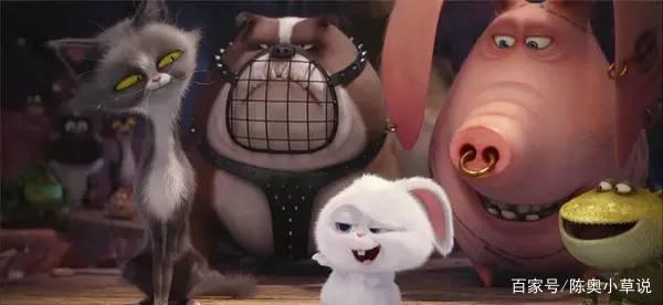 《爱宠大机密》萌得让电影本身失去存在感