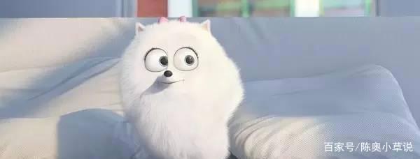 《爱宠大机密》萌得让电影本身失去存在感