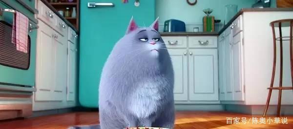 《爱宠大机密》萌得让电影本身失去存在感