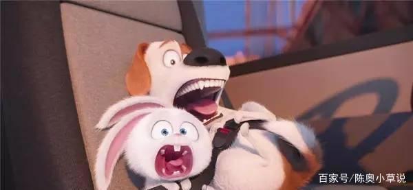 《爱宠大机密》萌得让电影本身失去存在感